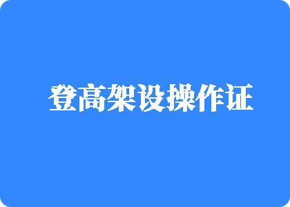 77操逼登高架设操作证