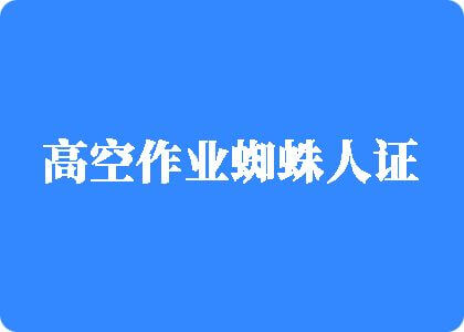 大鸡巴男人操骚逼女人视频高空作业蜘蛛人证